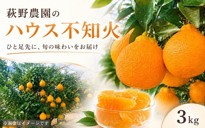 萩野農園の ハウス不知火 3kg 2L以上 9玉～12玉 みかん ミカン 不知火 しらぬい 果物 くだもの フルーツ 旬 人気 農家直送 産地直送【2027年1月初旬から1月中旬までに順次発送予定】【mhn003A】