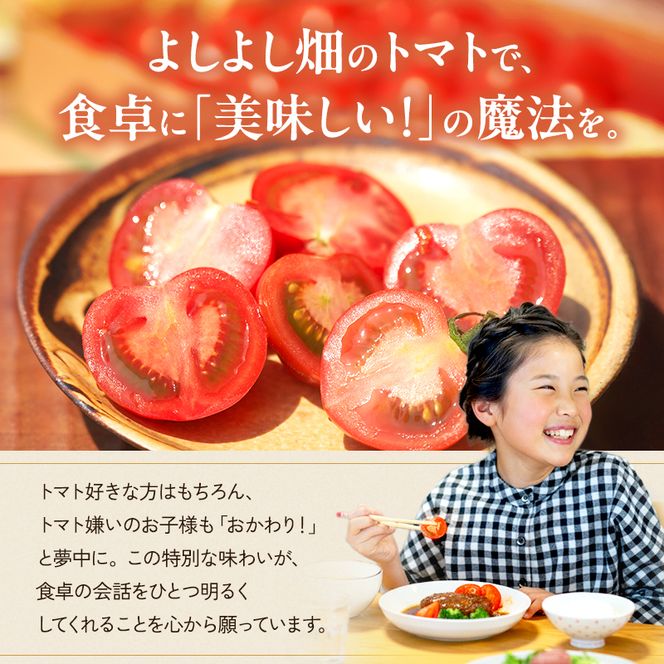 【6ヶ月連続 お届け】 よしよし畑のあま～い トマト ( 中玉トマト ) 800g ～ 1kg 計約3kg 程度 新鮮 産地直送  とまと 頒布会 定期便 おいしい おすすめ ギフト お取り寄せ