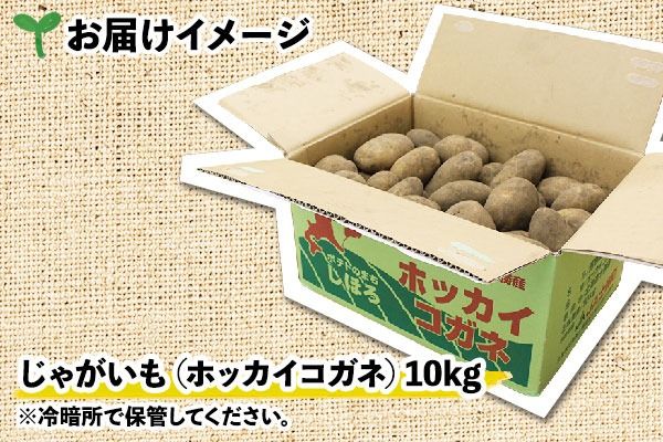 【CF】北海道 じゃがいも ホッカイコガネ 10kg 北海道産 十勝産 北海こがね 北海コガネ 北海黄金 ジャガイモ 芋 いも ポテト お取り寄せ まとめ買い 送料無料 十勝 士幌町【V06】