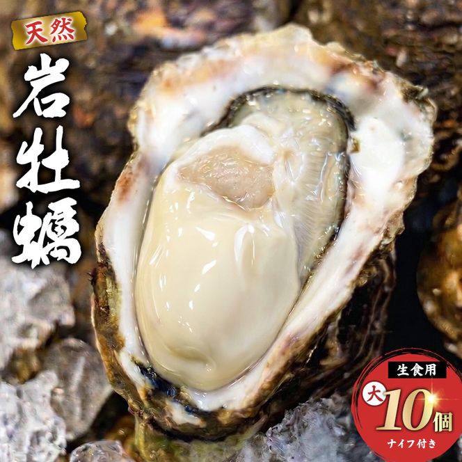 《ナイフ付》 生食用 殻付き 象潟産 天然 岩牡蠣 10個 約3kg 300～400g/個 直径10cm 岩ガキ 冷蔵 濃厚 プリプリ 新鮮 殻剥きナイフ付 贈り物 ギフト お取り寄せ 国産 日本海 産地直送 秋田県 にかほ市 マルイチ水産 送料無料