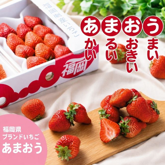 いちご あまおう 福岡県産 約1kg 250g×4パック 筑前あさくら農協 配送不可 離島 果物類 苺 イチゴ 配送期間：2027年1月下旬～3月上旬