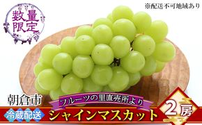シャインマスカット 2房 フルーツの里の直売所より 葡萄 果物類 ぶどう 皮ごと 高い糖度 ※配送不可：離島