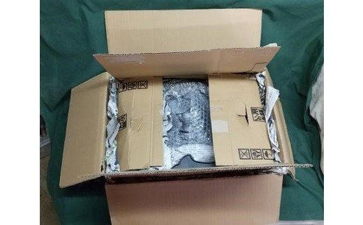 伝統工芸士の鬼師が作る守護鬼瓦シリーズ 疫病退散 守護鬼面プレート（大） H064-042