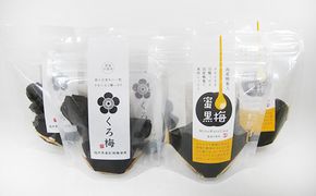 とてもすっぱい、熟成無塩の「くろ梅」とハチミツを加えた「蜜黒梅」の計5袋セット 梅干し 加工食品 
