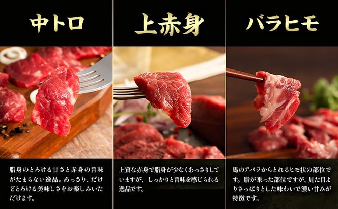 馬肉 熊本特産 フジチクオリジナル ふじ 馬刺し 堪能 セット 道の駅竜北《30日以内に出荷予定(土日祝除く)》 熊本県 氷川町 肉 馬肉 メン 大トロ 中トロ ヒレ シャトーブリアン ロース ランプ 上赤身 ネギトロ ふじ馬刺し セット 食べ比べ---sh_fyekfofb_r7_30d_99500_820g---