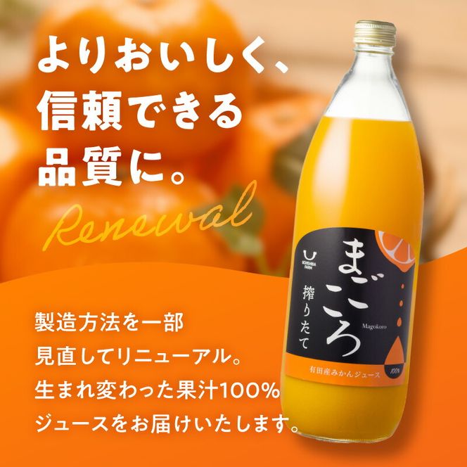 ZE6448_「まごころ」有田みかん 100％ ジュース 1000ml 1本