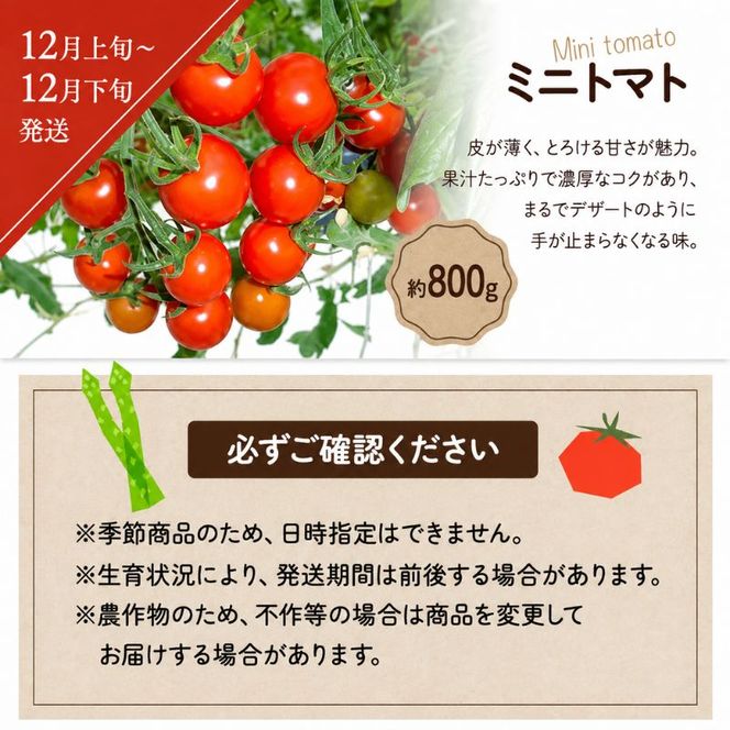 野菜セット 定期便 全5回 香川県産 さぬきのめざめ アスパラガス アスパラ ブロッコリー ホワイトコーン とうもろこし オクラ ミニトマト トマト 約2.5kg 約800g 約700g 旬 旬の野菜 野菜 国産 詰め合わせ 五色青果 香川県 東かがわ市