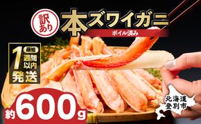 【最短1週間以内出荷】訳あり 冷凍 ボイル ずわいがに 足 600g ズワイガニ ハーフポーション | ギフト 2025