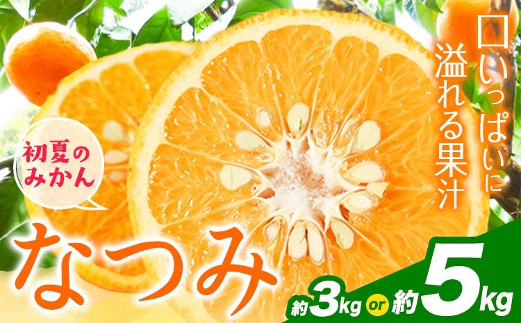 [先行予約]初夏のみかん なつみ 選べる内容量 約 3kg 約 5kg 株式会社 魚鶴商店[2026年4中旬-4月下旬頃出荷] 和歌山県 日高川町 みかん なつみ 南津海 柑橘 果物 フルーツ 送料無料---wshg_uot133_4c4g_25_11000_3kg---