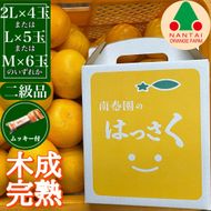 ちょっと 傷あり 4月 まで 木成 完熟 させた 有田 はっさく 2L ～ M ( 4玉 ～ 6玉 ) 手さげ箱 ムッキー 同梱 南泰園 みかん BS765