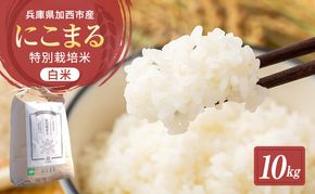 令和7年産 特別栽培米 にこまる 白米 5kg (5kg×2袋)精米 お米 こめ コメ ごはん ご飯 単一原料米