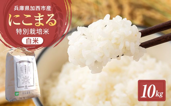 令和7年産 特別栽培米 にこまる 白米 5kg (5kg×2袋)精米 お米 こめ コメ ごはん ご飯 単一原料米