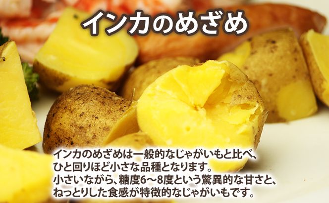 【2026年秋冬発送】じゃがいも 食べ比べセット 男爵3kg＋インカのめざめ2kg【約5kg】