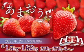 博多あまおう（冬） 約250g～270g×6パック 計約1.5kg～1.62kg【2025年12月上旬-2026年1月下旬発送予定】 いちご 苺 イチゴ 果物 フルーツ