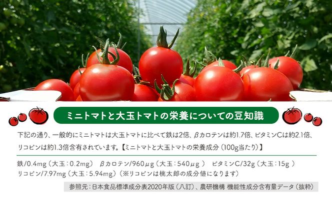 先行受付【2026年産】ミニトマト ジュース (北海道 仁木町産 ミニトマト[エコスイート]100%) 1L×6本 無塩・無糖・保存料無添加【栽培期間中 農薬・化学肥料不使用 】 野菜飲料 ジュース トマト [Farm Watanabe]