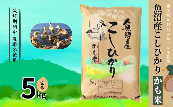 【令和7年産】魚沼産コシヒカリかも米(玄米)5kg　※栽培期間中農薬不使用 米 お米 こしひかり 玄米 かも米 中魚沼 新潟県 十日町市