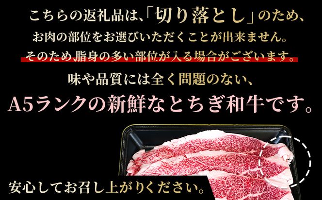 とちぎ和牛 A5 切り落とし 1kg【栃木県共通返礼品・栃木県産】 | 肉 牛肉 和牛 国産 切り落とし 栃木県 鹿沼市