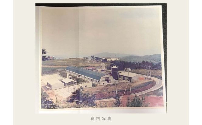 油絵で高級感のある風景画を細密に描きます（41×32cm）