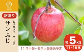 【訳あり】 サンふじ 約5kg 11～18玉［おぶせファーマーズ］ 不揃い 規格外 家庭用 りんご 林檎 リンゴ 果物 フルーツ ふじ 長野 信州 数量限定 令和6年産 【2024年11月中旬～2025年5月上旬発送】［F-24］