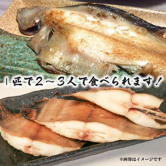 y茧DnszC̍KZbg A-3 yMX̉2`3JC 3`4XCJ銱 2CJ̉h 1pbNz@Ⓚ Ă ȒP yyoshidasyouten012z