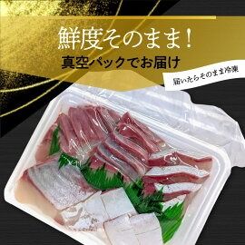 高級大和ブリのお造り8人前 N072-YA859