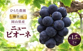 ぶどう 2027年 先行予約 ひらた農園 贈答用 岡山県産 加温ハウス栽培 ニューピオーネ 2房（1房750g前後） 果物 ぶどう フルーツ 