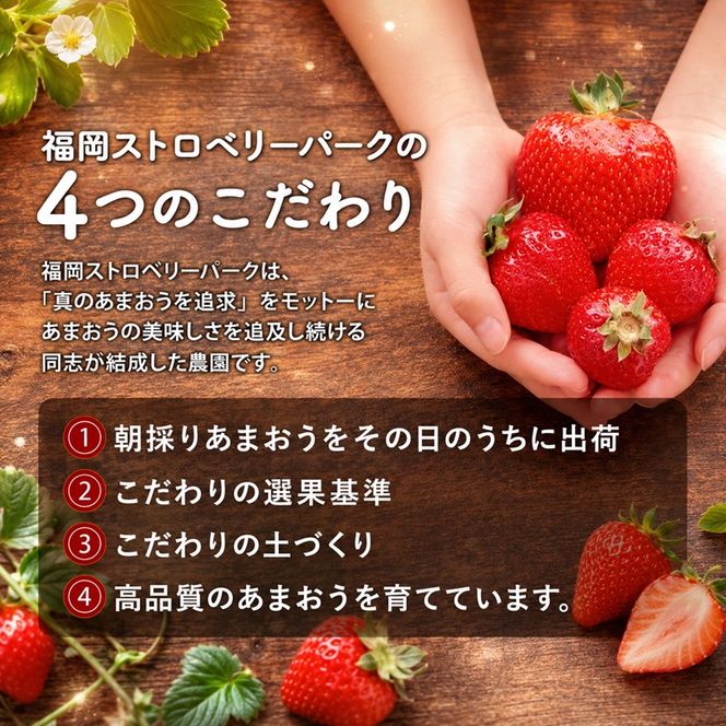 訳あり いちご 2027年2月中旬より発送 あまおう サイズ色々 4パック 約1kg 配送不可 離島 果物 フルーツ 福岡県産あまおう 