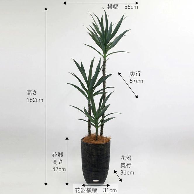 アートフラワー エミリオ・ロバ ユッカラン4L TUTTA15850