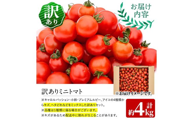 訳あり・規格外！数量限定の門川町産ミニトマト(計約4kg)フルーツトマト とまと 野菜 キャロルパッション 小鈴 プレミアムルビー アイコ ミックス 生 旬野菜 冷蔵【X-11】【いけとも農園】