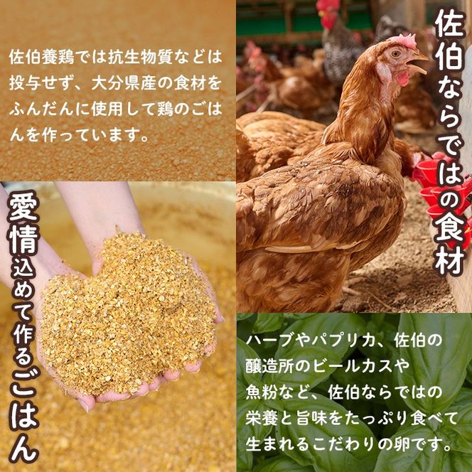 産直・平飼い有精卵 (計60個) 卵 玉子 卵かけご飯 玉子焼き 平飼い 鶏 鶏卵 養鶏場直送 朝採れ 新鮮 大分県 佐伯市 【HM02】【佐伯養鶏場】