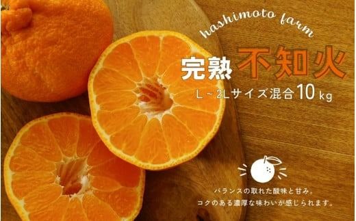 【先行予約】橋本農園の完熟不知火 10kg L～2Lサイズ混合【2025年2月中旬～3月中旬までに順次発送】 / デコポン 不知火 完熟 フルーツ 果物 くだもの 先行予約【mht004A】