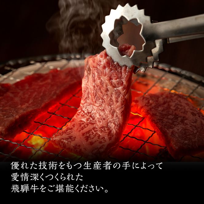 飛騨牛 サーロイン 岐阜県産 焼肉 500g 牛肉 焼き肉 お肉 冷凍 バーベキュー BBQ 