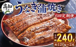 うなぎ 定期便 国産 うなぎ 定期便 100g～120g 2尾 6回 蒲焼き 高知県産 養殖 魚介 国産 海鮮 魚 かばやき 鰻 ウナギ 惣菜 おかず お手軽 加工品 加工食品 冷凍 Wfb-0039