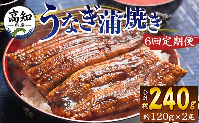 うなぎ 定期便 国産 うなぎ 定期便 100g～120g 2尾 6回 蒲焼き 高知県産 養殖 魚介 国産 海鮮 魚 かばやき 鰻 ウナギ 惣菜 おかず お手軽 加工品 加工食品 冷凍 Wfb-0039