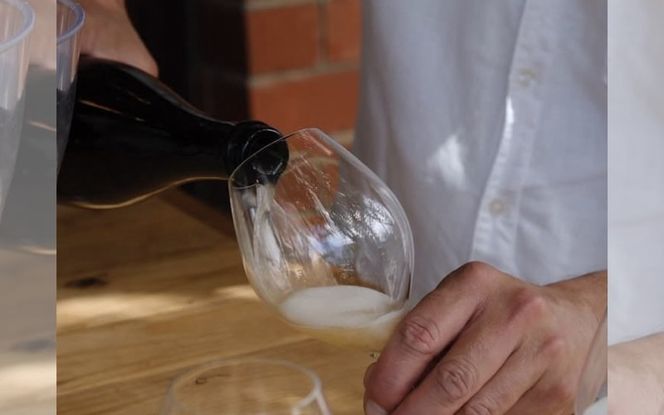 蒜山産クラフトビール 375ml×4本セット / 地ビール 蒜山 お酒 ひるぜん お取り寄せ 岡山県 真庭市【tmizu001-02】