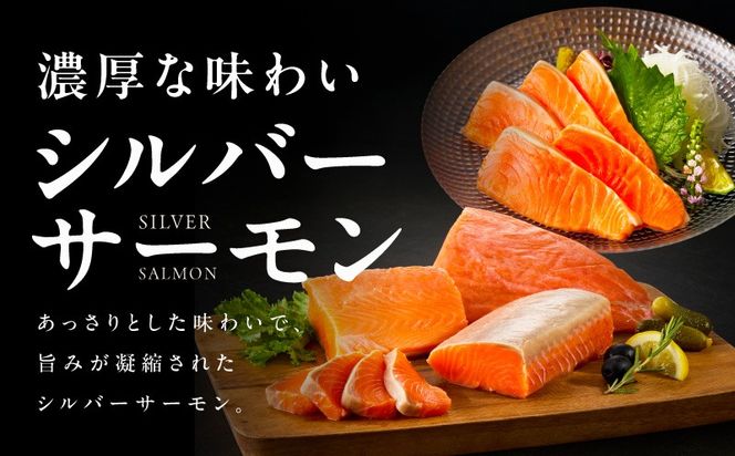 010B1969 【お試し】サーモン 500g ポーション【訳あり サイズ不揃い 刺身 海鮮丼 さーもん サラダ カルパッチョ 鮭 さけ シャケ しゃけ 人気 小分け 冷凍 家計応援】