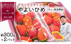 「食べチョクいちごグランプリ2026」味わい部門「ザ・ジューシー賞」受賞 やよいひめ ( 2パック ) 特大 デラックス サイズ 【 2027年1月から発送開始 】  （常陸太田市 共通返礼品 ) 約 300g × 2 パック やよいひめ ヤヨイヒメ 弥生姫 いちご 数量限定 果物 くだもの フルーツ 苺 イチゴ 期間限定