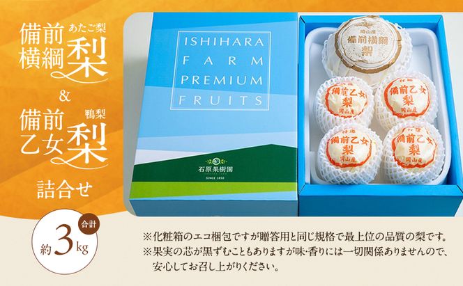 梨 2026年 先行予約 備前横綱梨（あたご梨）1玉 (1～1.5kg)・備前乙女梨（鴨梨） 3～5玉 詰合せ 合計約3.0kg【11月下旬～12月中旬頃発送】 岡山県産 フルーツ ギフト 石原果樹園