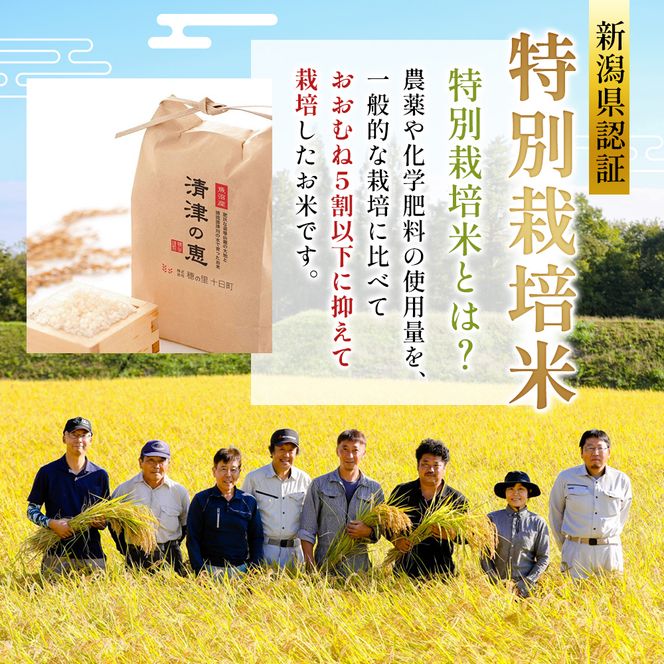 【通年受付】令和7年産魚沼産特別栽培米コシヒカリ［清津の恵］精米10kg（5kgx２袋）全6回 十日町市 十日町 米
