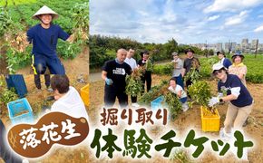 落花生の掘り取り体験チケット 7株分 【kw0208-0002】
