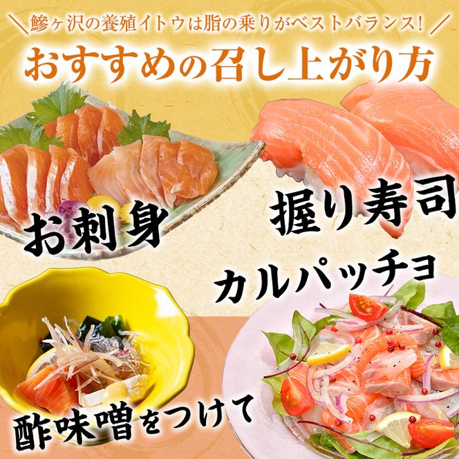 幻の魚イトウのうす造り（真空冷凍パック）170g×2パック 魚介類 