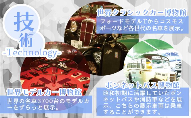 アクトミュージアム１DAYペアチケット ak-0001