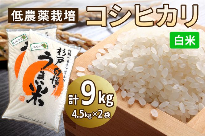 低農薬栽培のコシヒカリ《白米》9kg (4.5kg×2袋)｜おいしい お米 コメ こめ ご飯 ごはん お取り寄せ 直送 贈り物 贈答品 ふるさと納税 埼玉 杉戸 [0646]