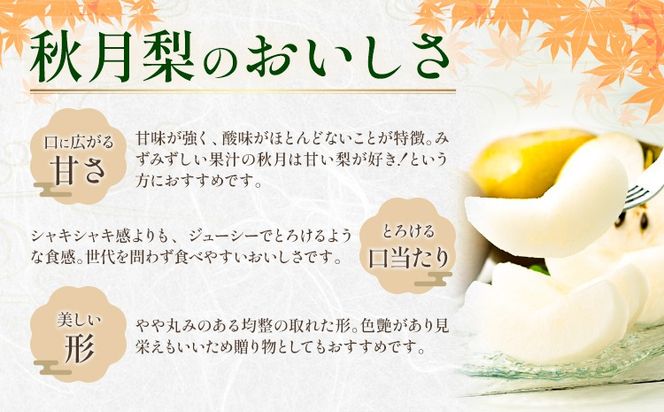 梨 秀品 秋月梨 選べる内容量 約1.8kg 約5kg 約10kg 日本フルーツ《9月上旬-9月末頃出荷》熊本県 長洲町 なし 梨 果物 フルーツ デザート ギフト ご贈答---sn_cnfakn_ac9_r8_10000_1800g---