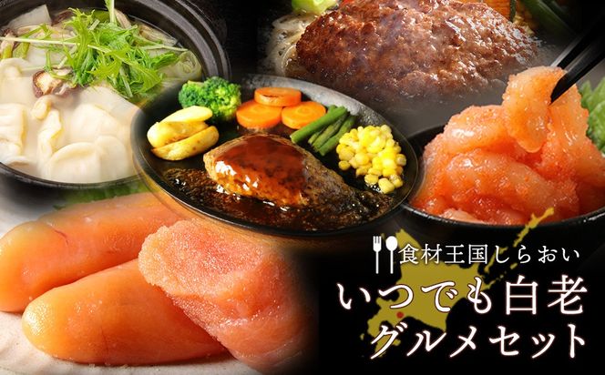 ［食材王国しらおい］いつでも白老グルメセット