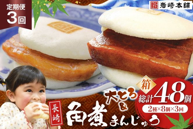 BJ068 岩崎本舗 【3回定期便】長崎角煮まんじゅう 8個入 (箱) ・ 大とろ角煮まんじゅう 8個入 (箱) [長崎県 島原市]