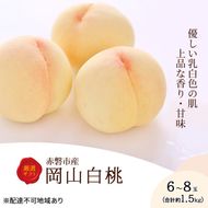 桃 2026年 先行予約 岡山白桃 6～8玉 約1.5kg 化粧箱入り 岡山県 赤磐市産 果物 フルーツ 白桃 もも モモ