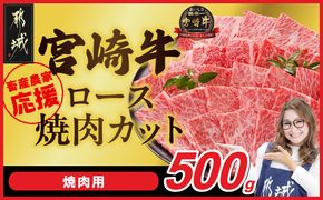 宮崎牛ロース焼肉用 500g_17-N2-013-500g