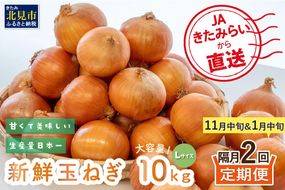 【隔月2回(11月・1月)定期便】JAきたみらいから直送する新鮮玉ねぎ 10kg L玉 ( 野菜 定期便 玉葱 たまねぎ 期間限定 )【999-0118-2026】