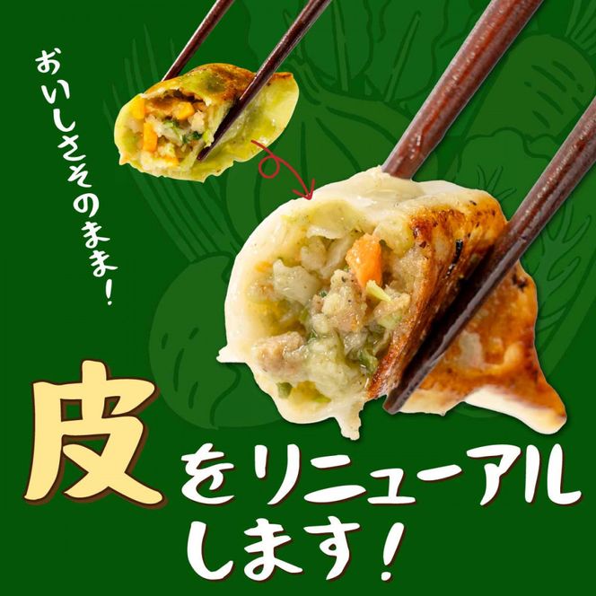 【大阪名物】大阪ふくちぁん野菜餃子 冷凍生餃子 180個［36個入×5セット］ 272183_AY09